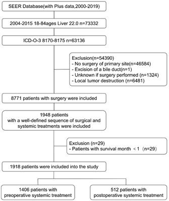 Comparison of outcomes between preoperative and postoperative systemic treatment in patients with hepatocellular carcinoma: a SEER database-based study